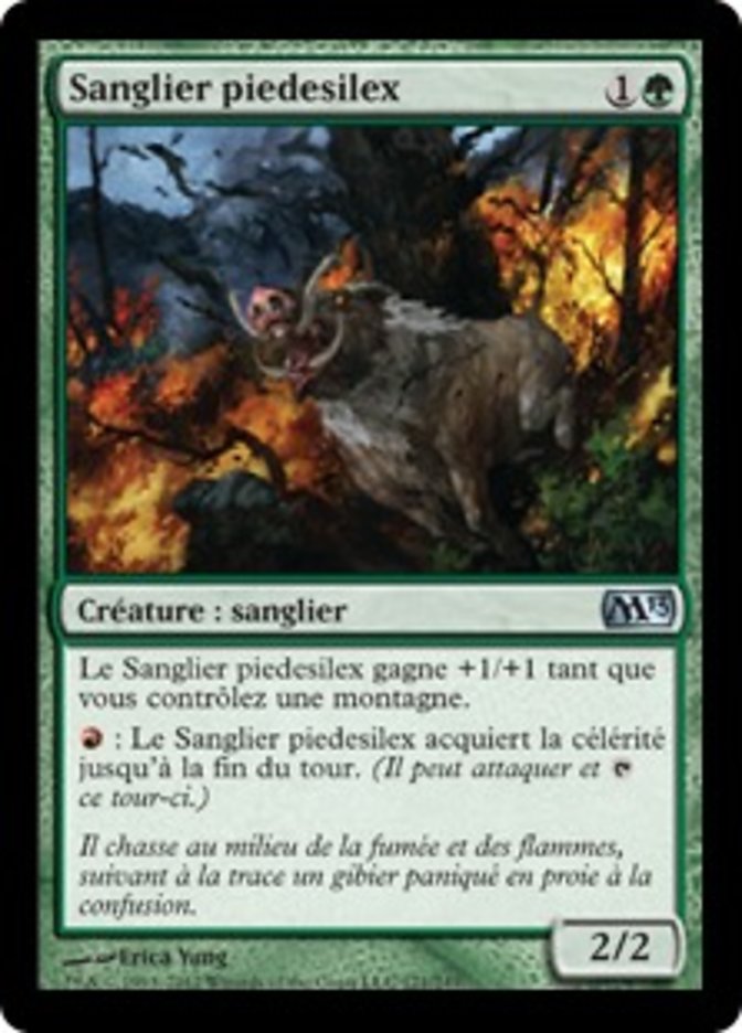 image Sanglier piedesilex