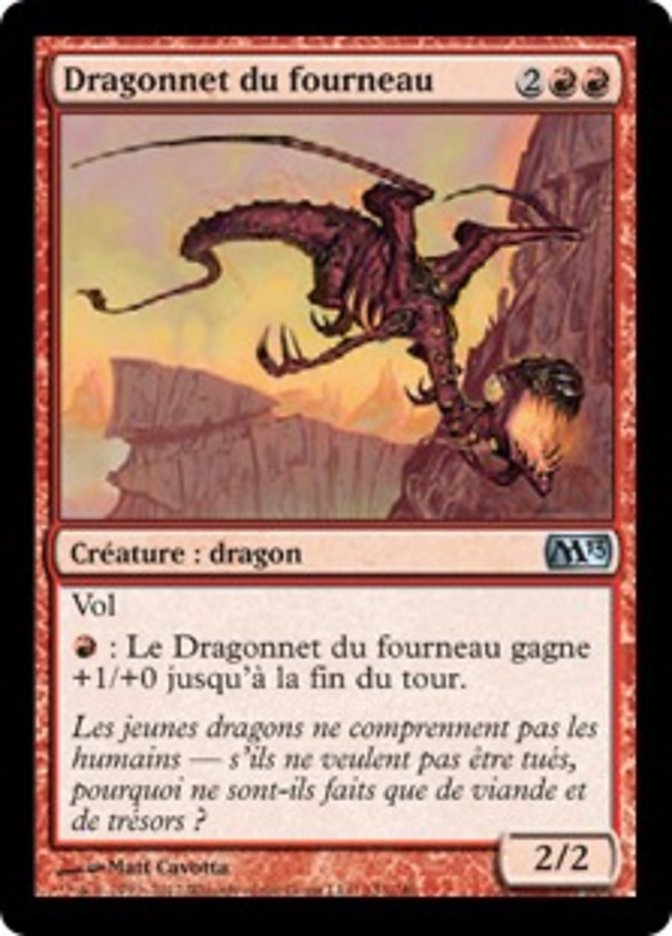 image Dragonnet du fourneau