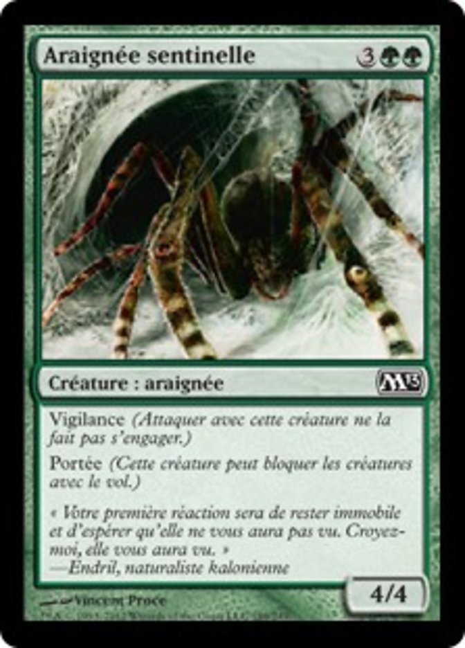 image Araignée sentinelle
