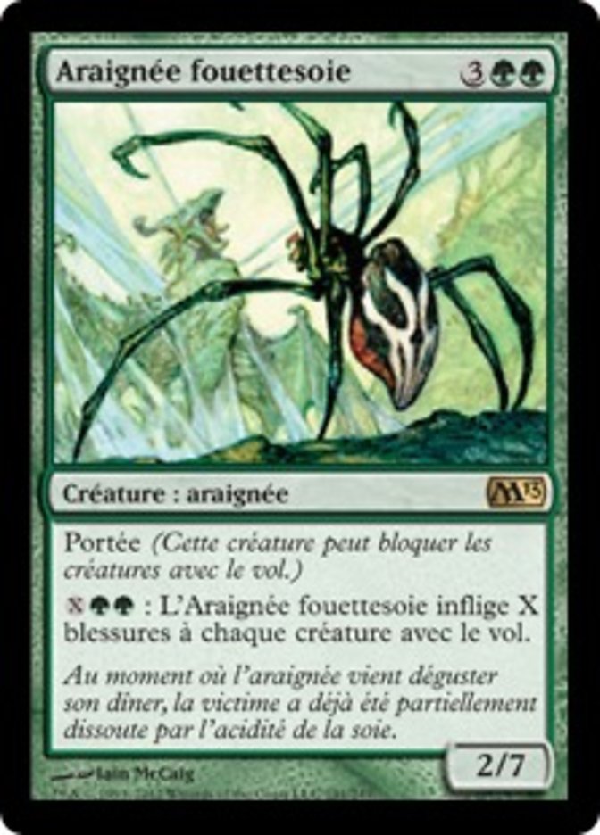 image Araignée fouettesoie