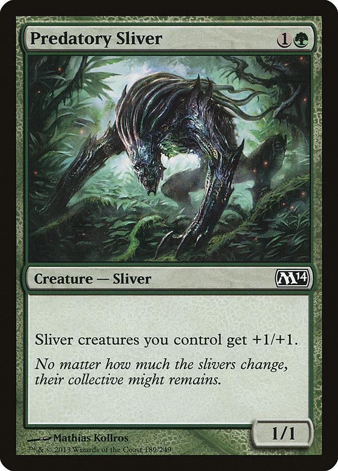 image Predatory Sliver