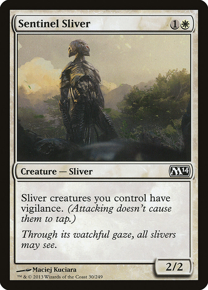 image Sentinel Sliver