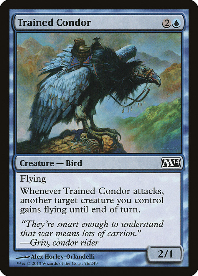 image Trained Condor