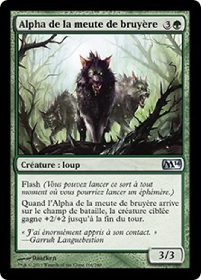 image Alpha de la meute de bruyère