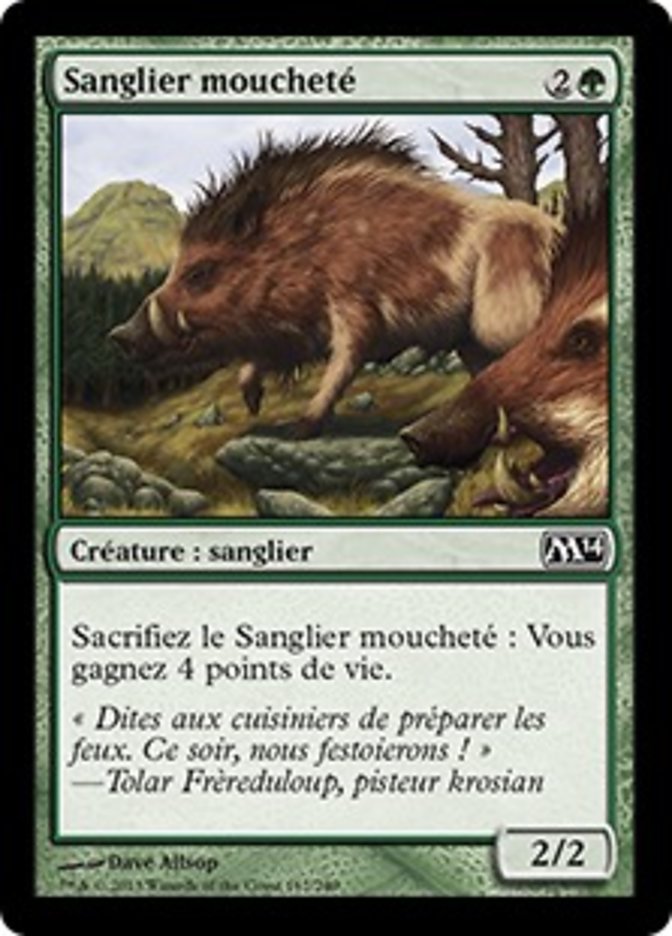 image Sanglier moucheté