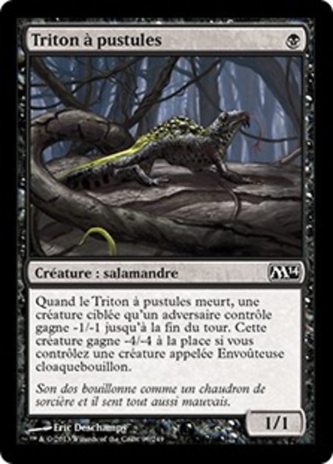 image Triton à pustules