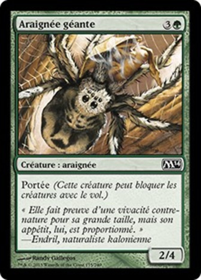 image Araignée géante