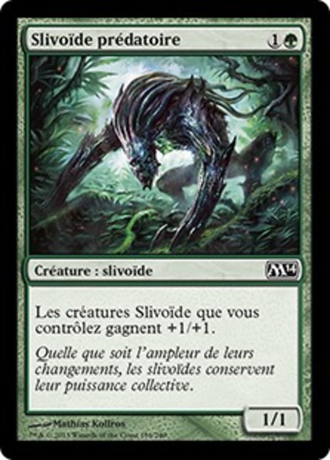 image Slivoïde prédatoire