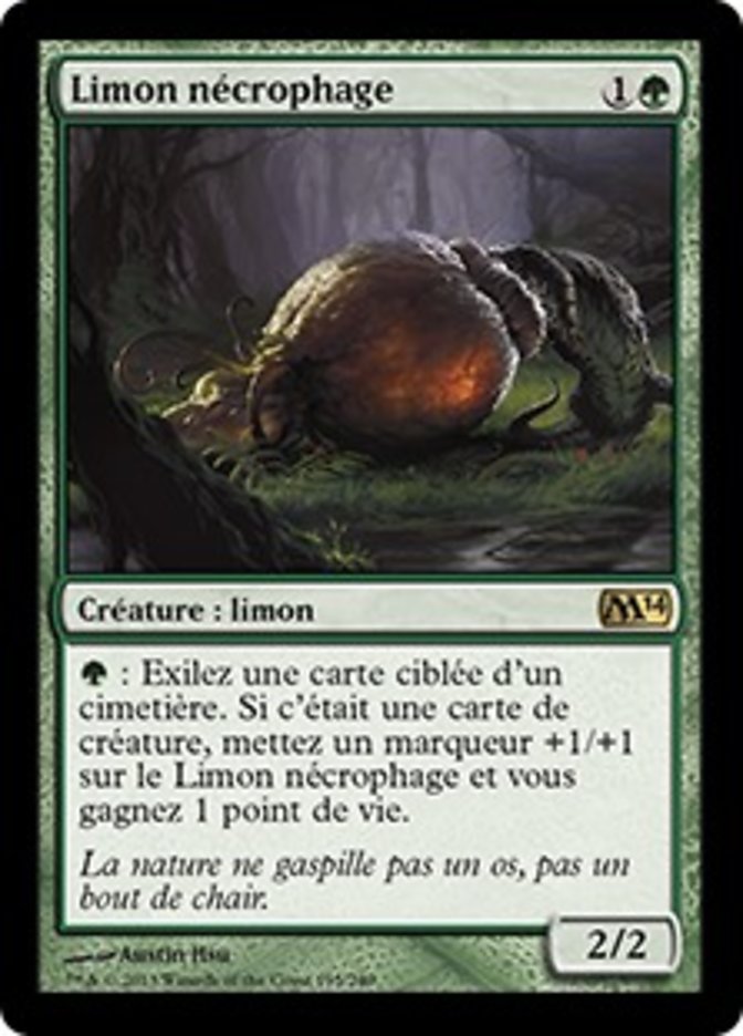 image Limon nécrophage