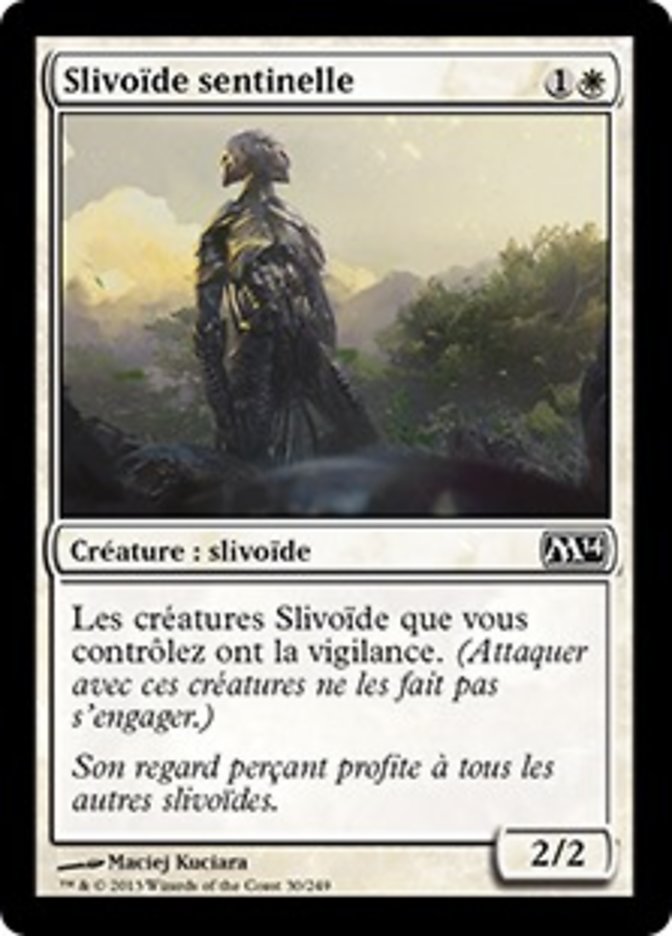 image Slivoïde sentinelle