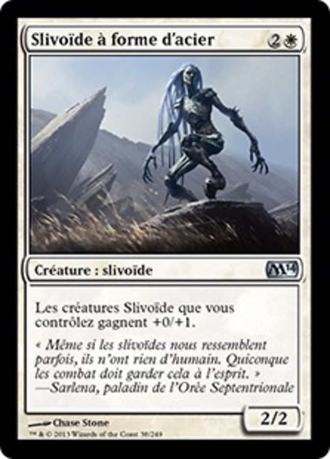 image Slivoïde à forme d'acier