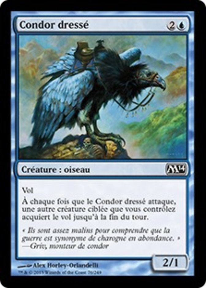 image Condor dressé