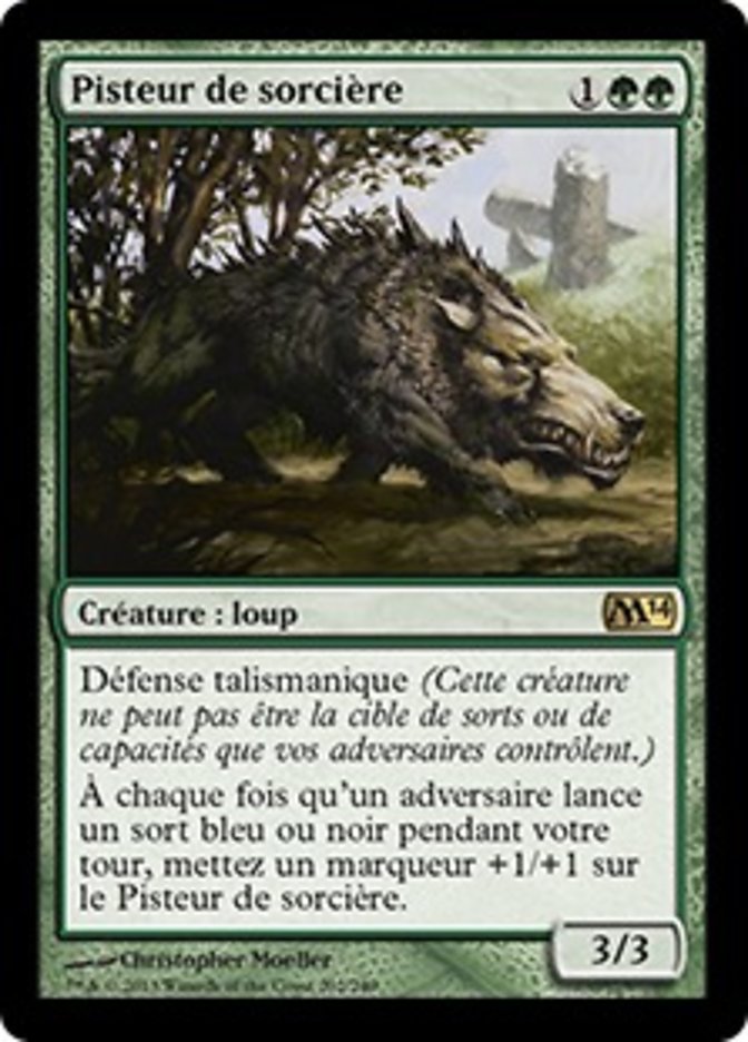 image Pisteur de sorcière