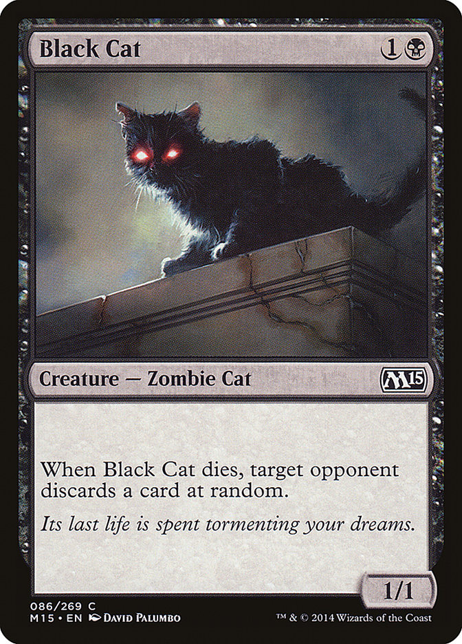 image Black Cat