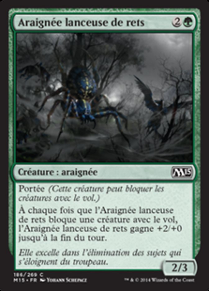 image Araignée lanceuse de rets
