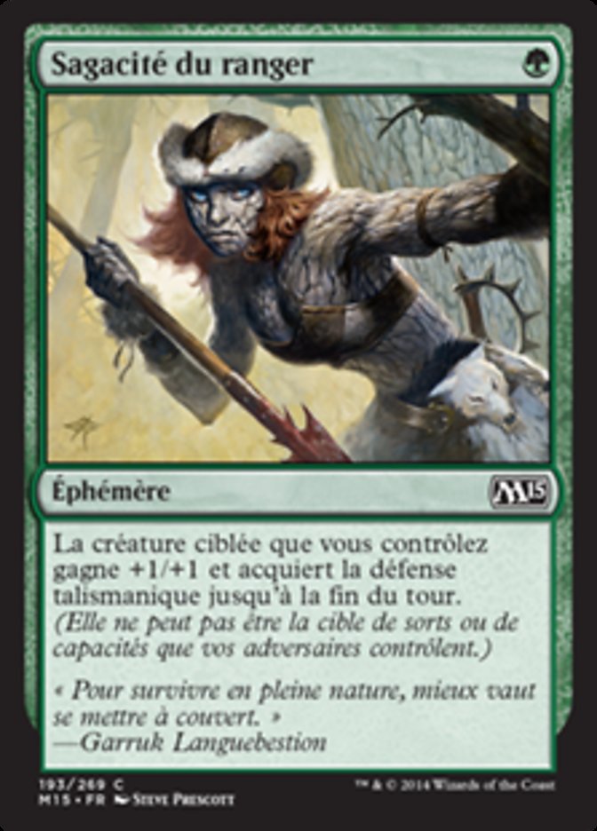 image Sagacité du ranger