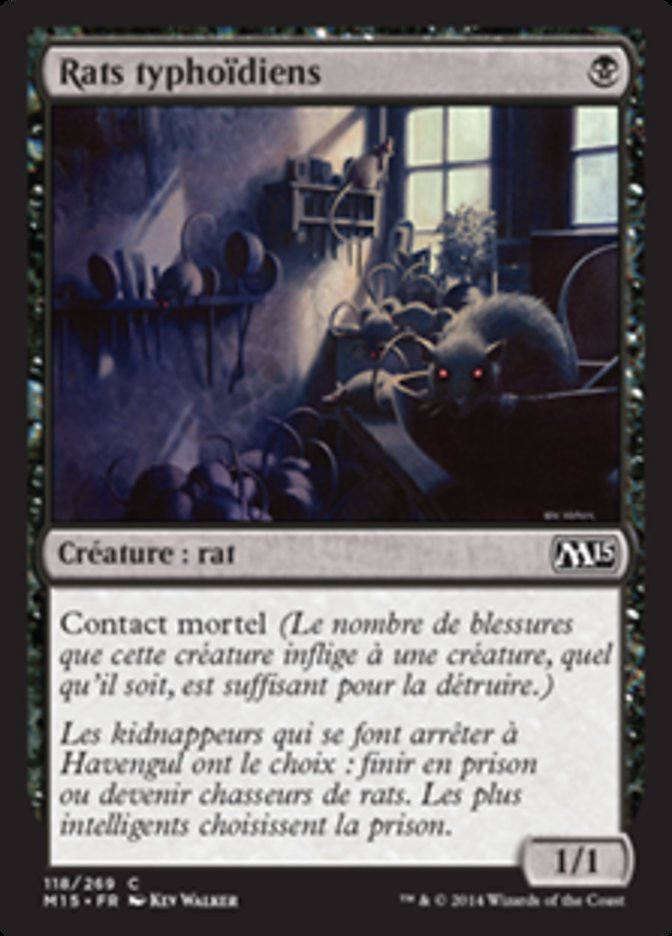 image Rats typhoïdiens