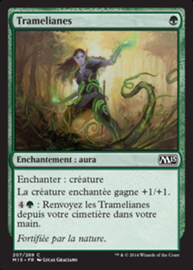 image Tramelianes
