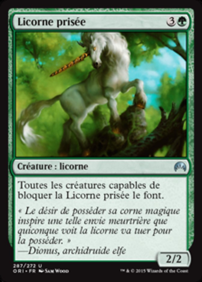 image Licorne prisée