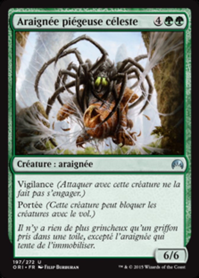 image Araignée piégeuse céleste