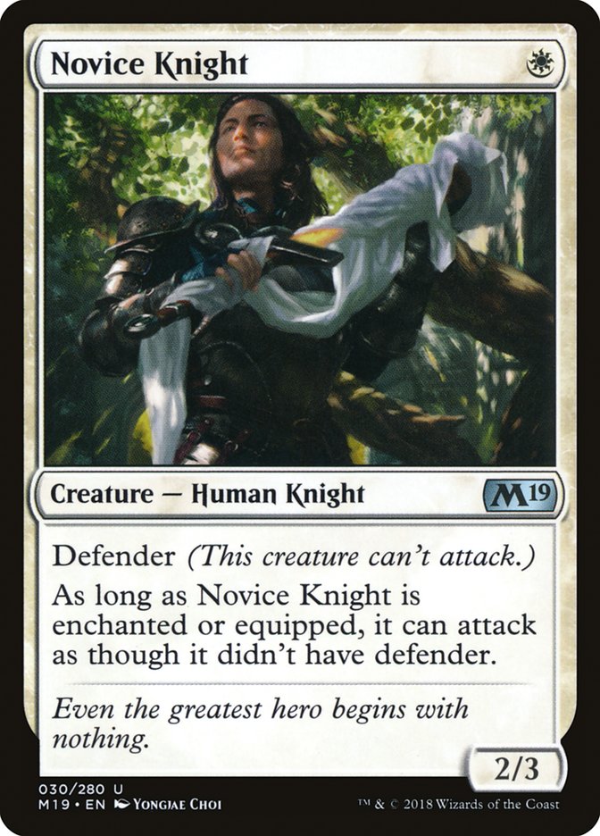 image Novice Knight