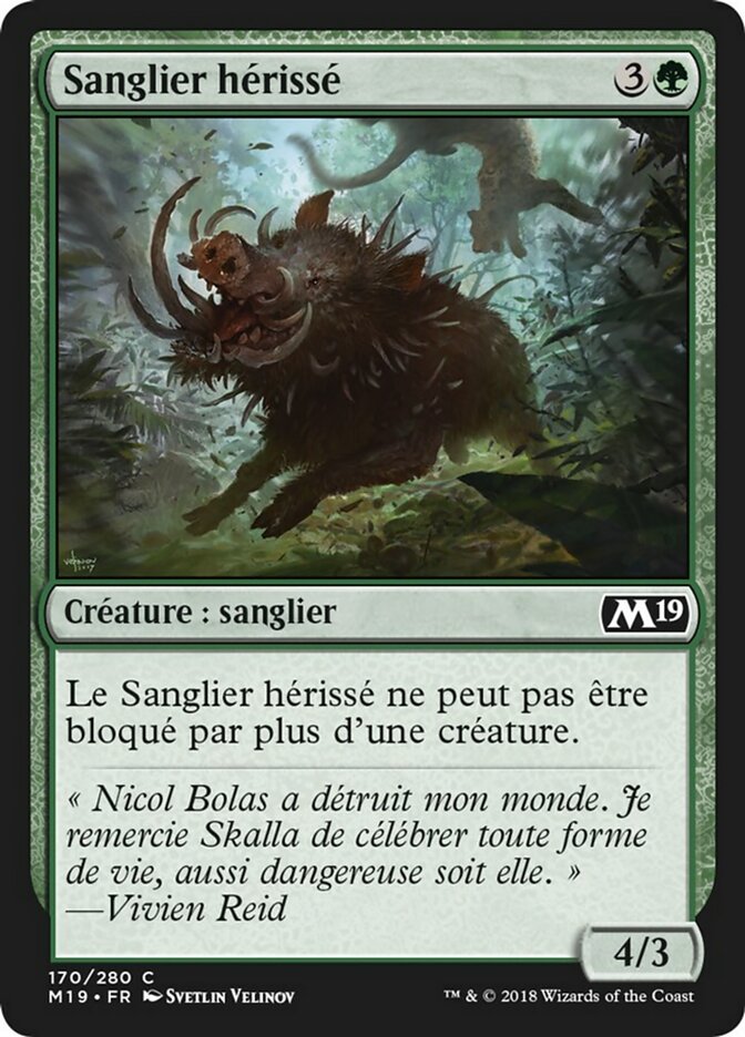 image Sanglier hérissé