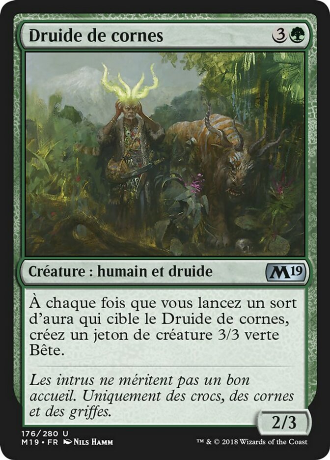 image Druide de cornes