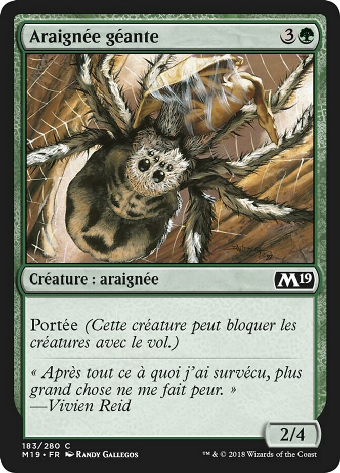 image Araignée géante