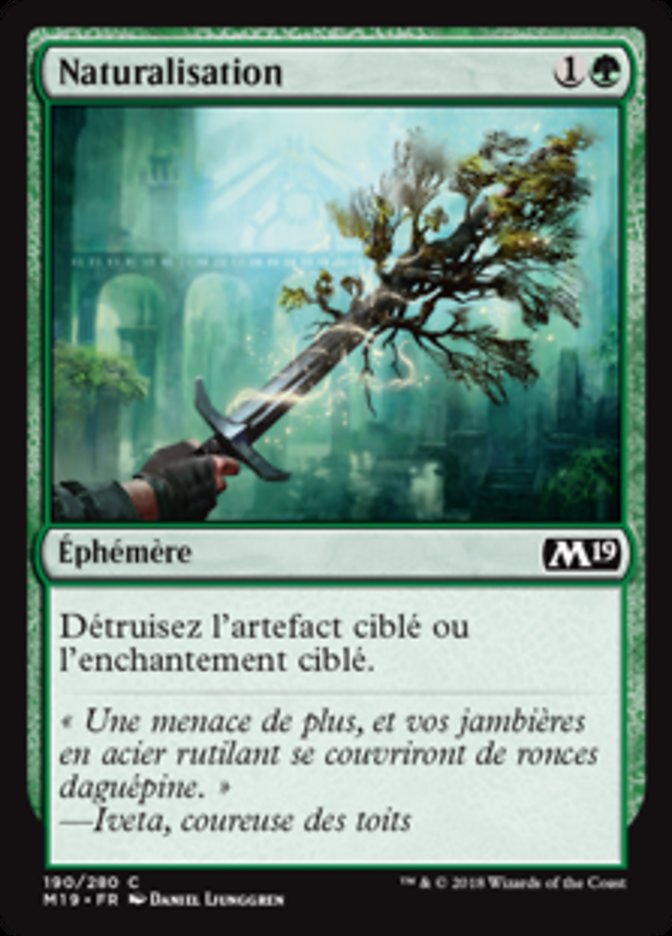 image Naturalisation