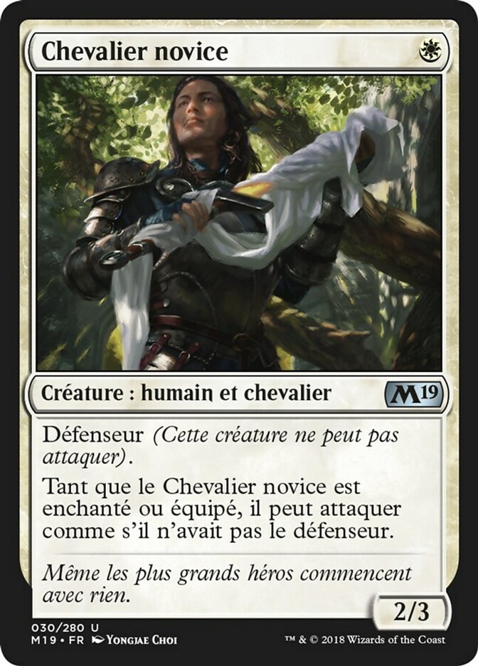 image Chevalier novice