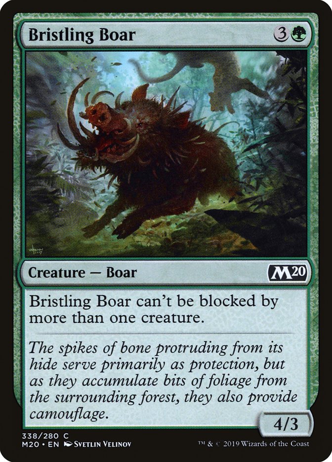 image Bristling Boar