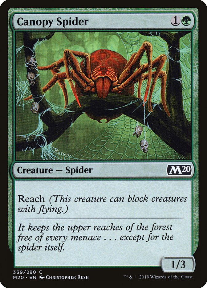 image Canopy Spider
