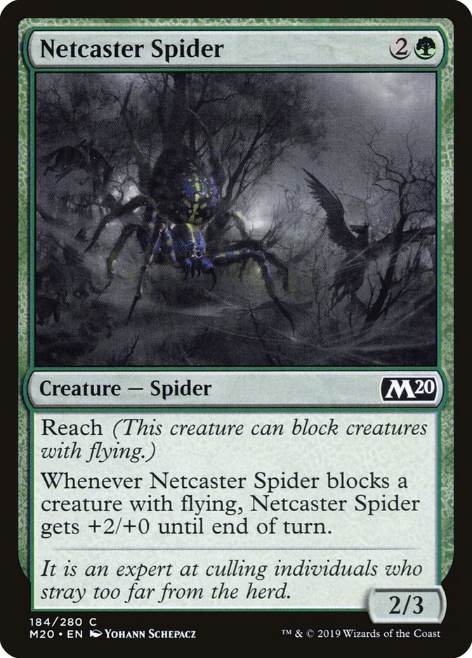 image Netcaster Spider