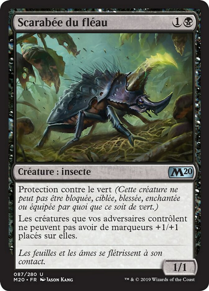 image Scarabée du fléau