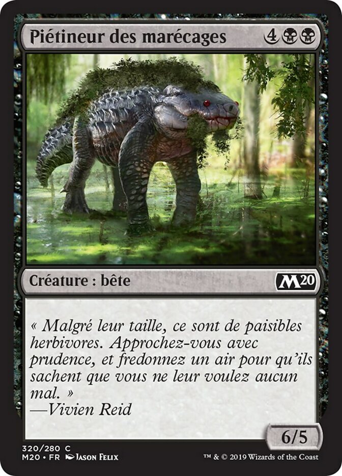 image Piétineur des marécages