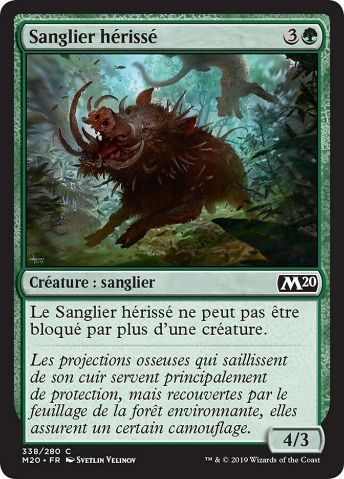 image Sanglier hérissé