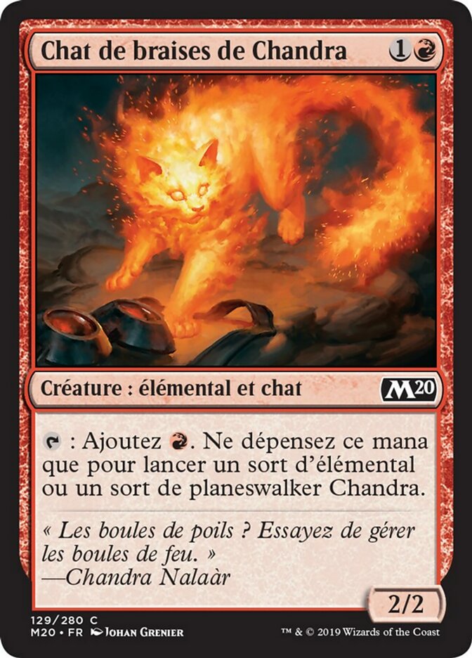 image Chat de braises de Chandra