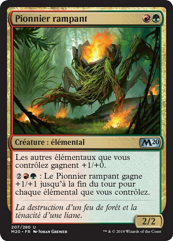 image Pionnier rampant