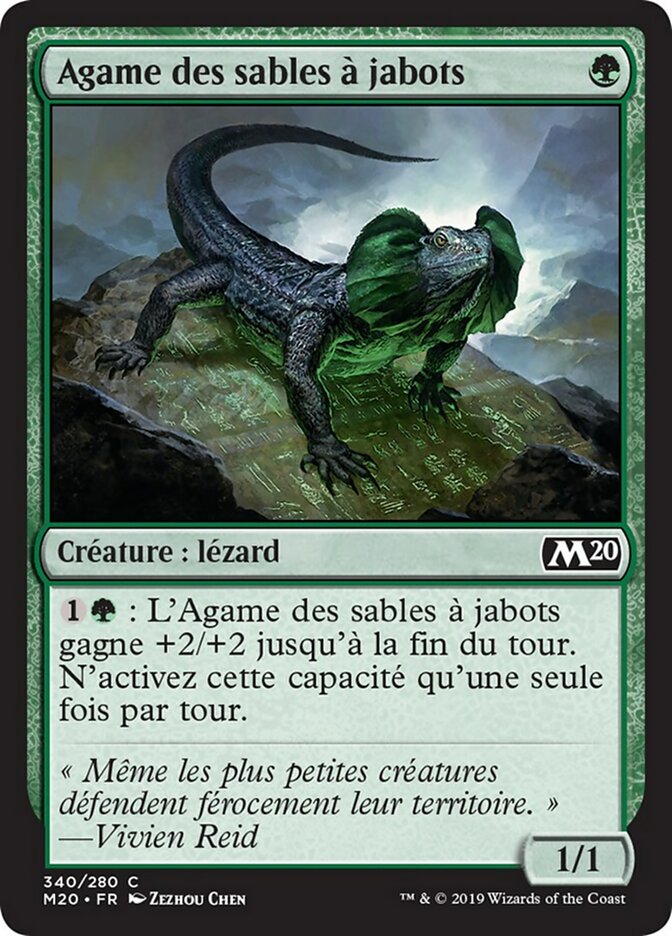 image Agame des sables à jabots