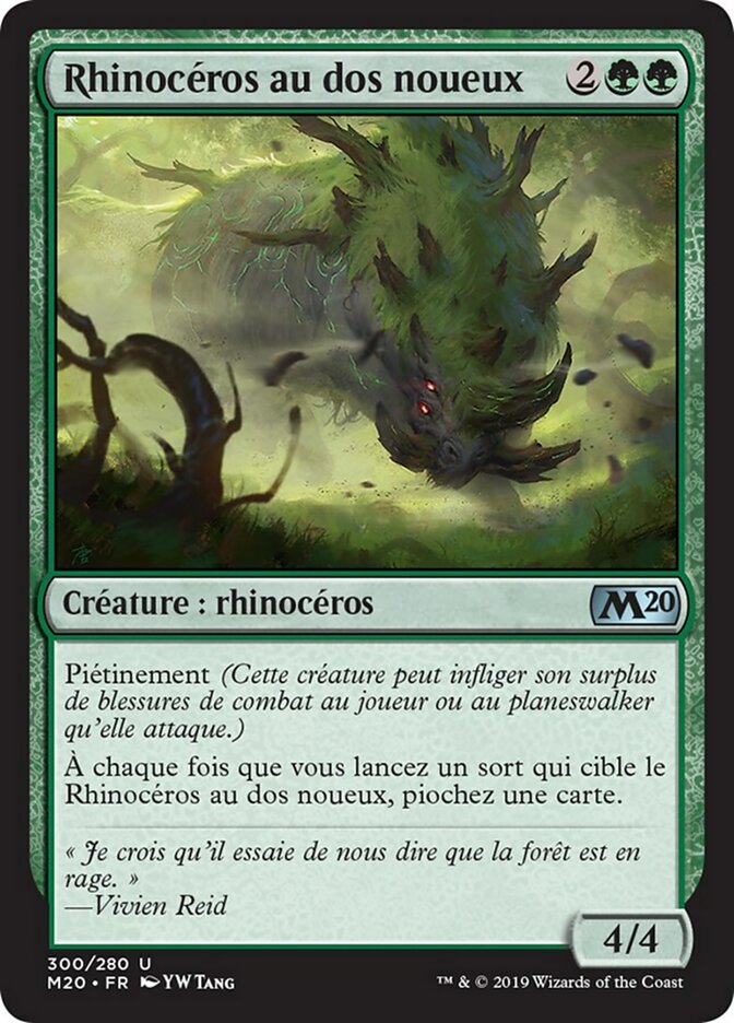 image Rhinocéros au dos noueux