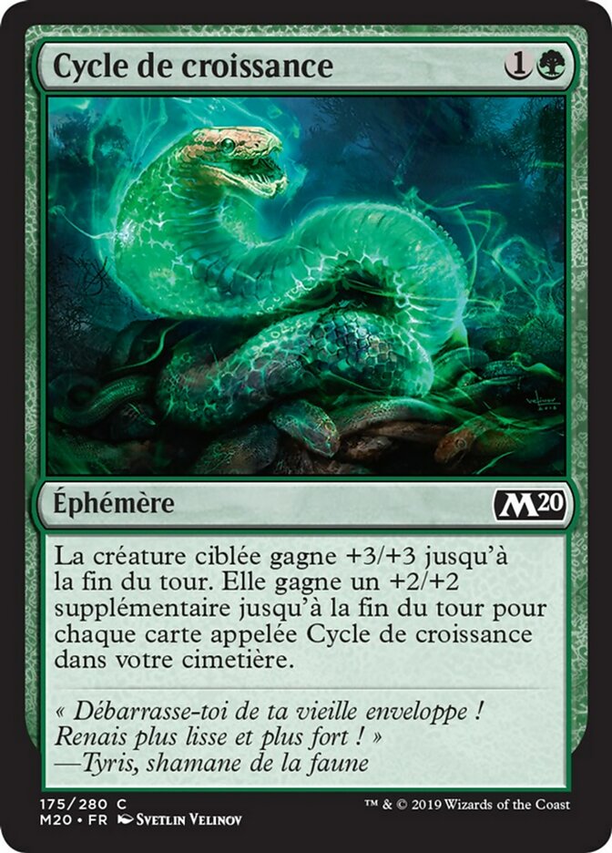 image Cycle de croissance