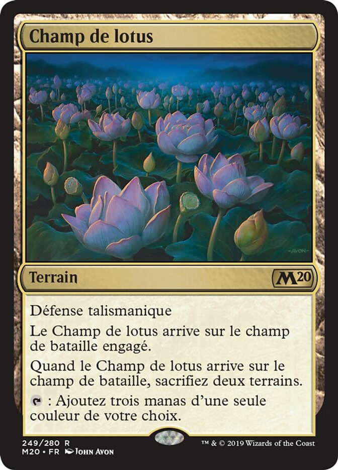 image Champ de lotus