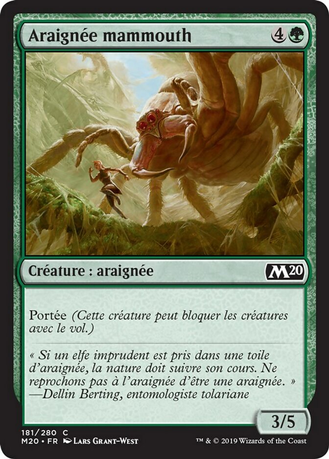 image Araignée mammouth