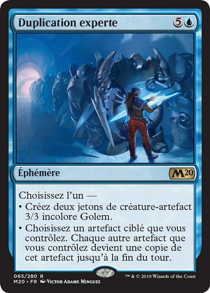 image Duplication experte