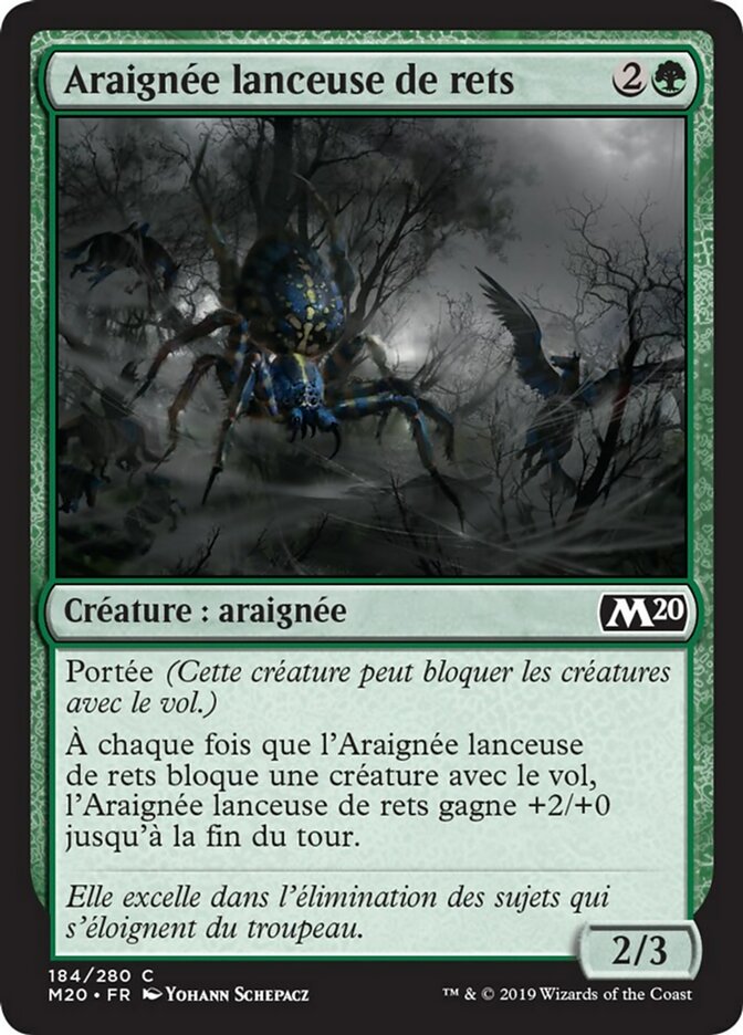 image Araignée lanceuse de rets