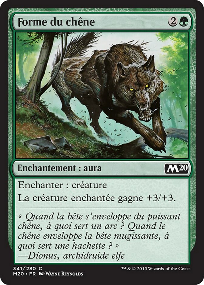 image Forme du chêne