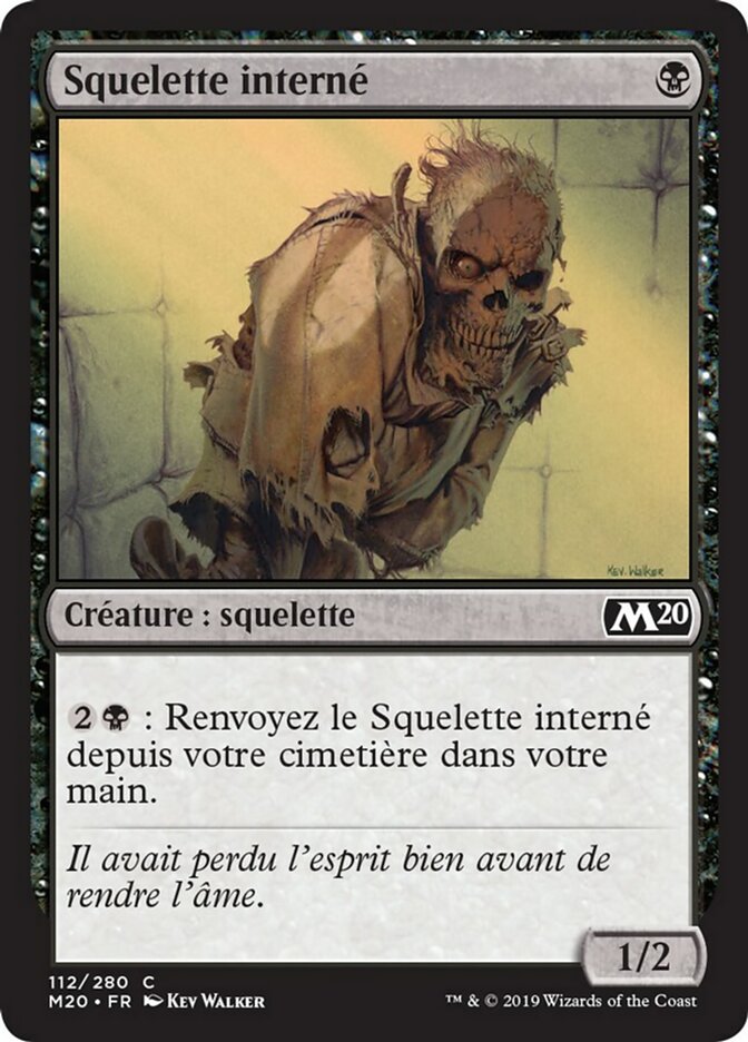 image Squelette interné