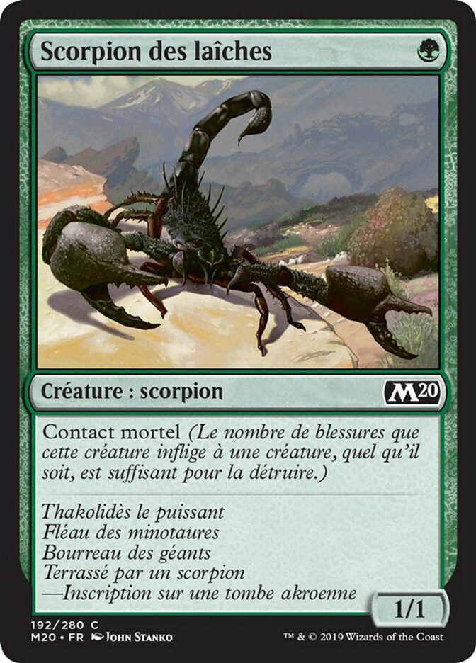 image Scorpion des laîches