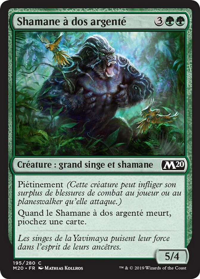 image Shamane à dos argenté
