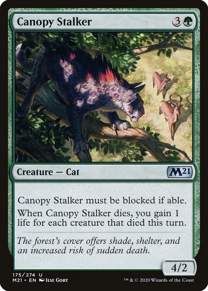 image Canopy Stalker